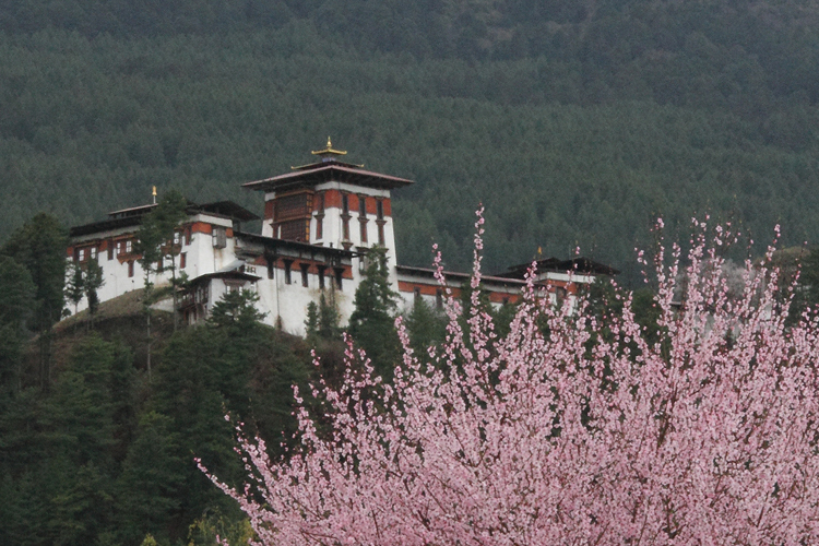 Bhutan Insight Tour